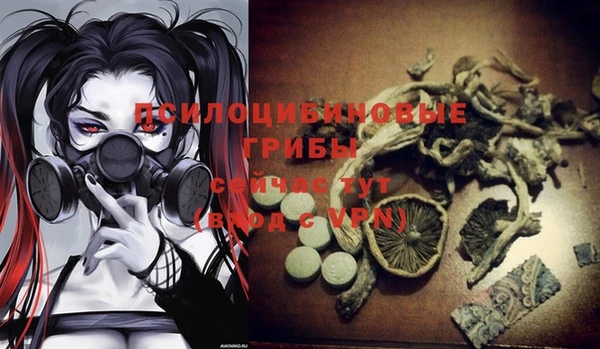шишки Абинск