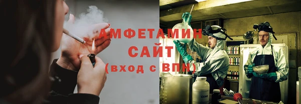 ГАЛЛЮЦИНОГЕННЫЕ ГРИБЫ Алзамай