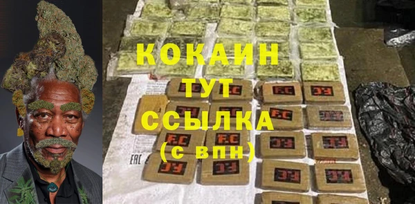шишки Абинск