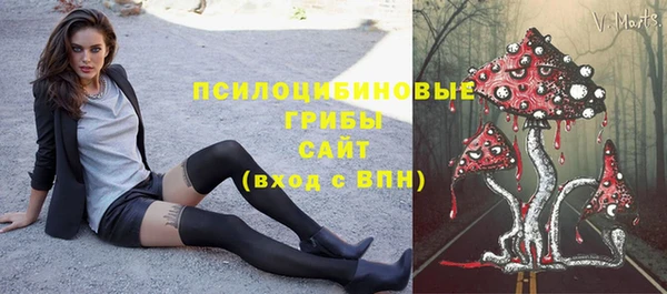 эйфоретик Алексеевка
