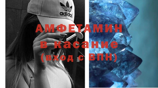 шишки Абинск