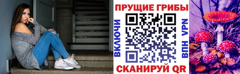 купить сайты Курлово Галлюциногенные грибы прущие грибы